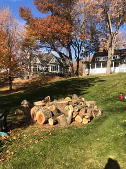 Award-Winning Landscaping Designs's image